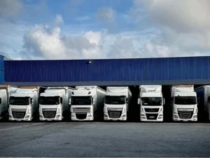Flota propia de camiones para el transporte de cargas completas FTL y logística industrial nacional.