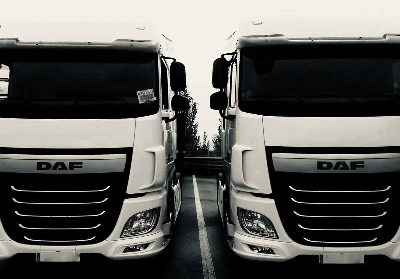 Dos camiones DAF blancos de Martin & Garcia e Hijo para transporte nacional de mercancías.